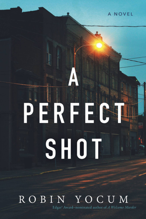 Cover image for book A Perfect Shot