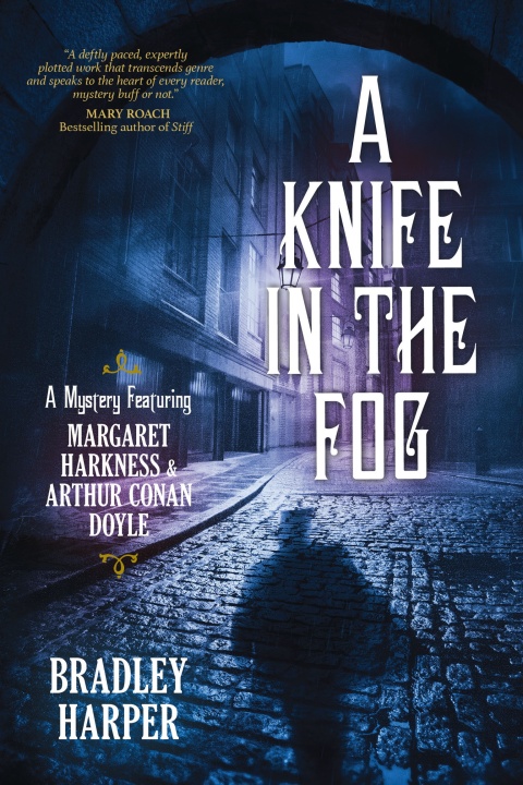 Cover image for book A Knife in the Fog