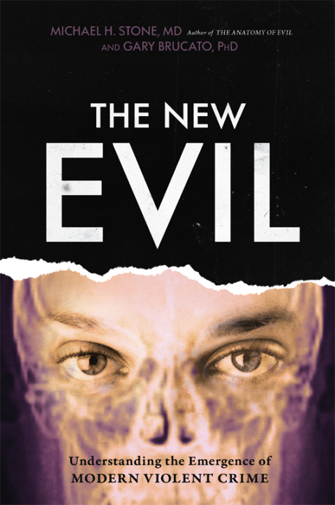 Cover image for book New Evil