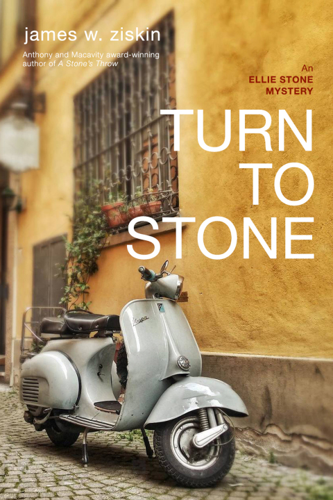 Cover image for book Turn to Stone