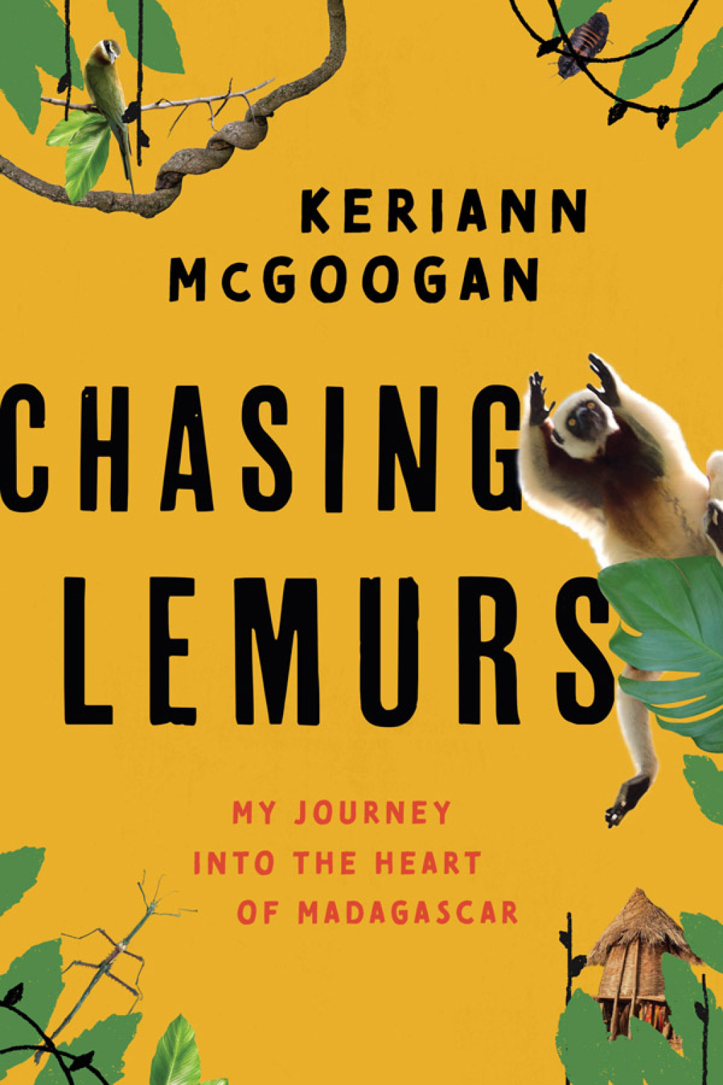 Chasing Lemurs (eBook)