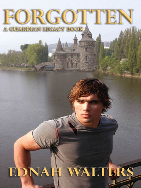 Cover image for book Forgotten