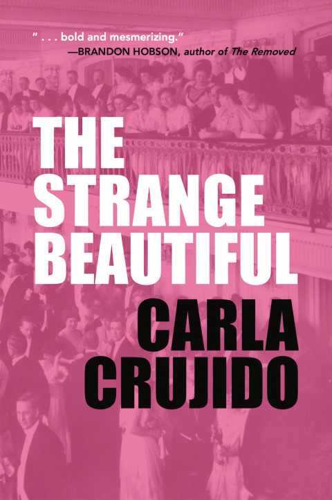 Cover image for book The Strange Beautiful