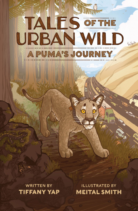 Cover image for book Tales of the Urban Wild: A Puma's Journey