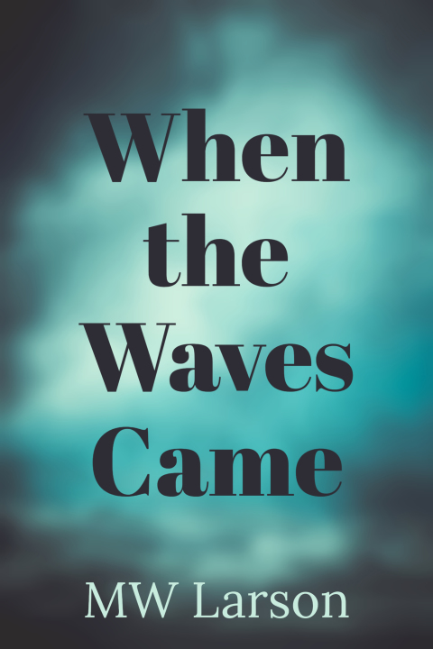 Cover image for book When the Waves Came