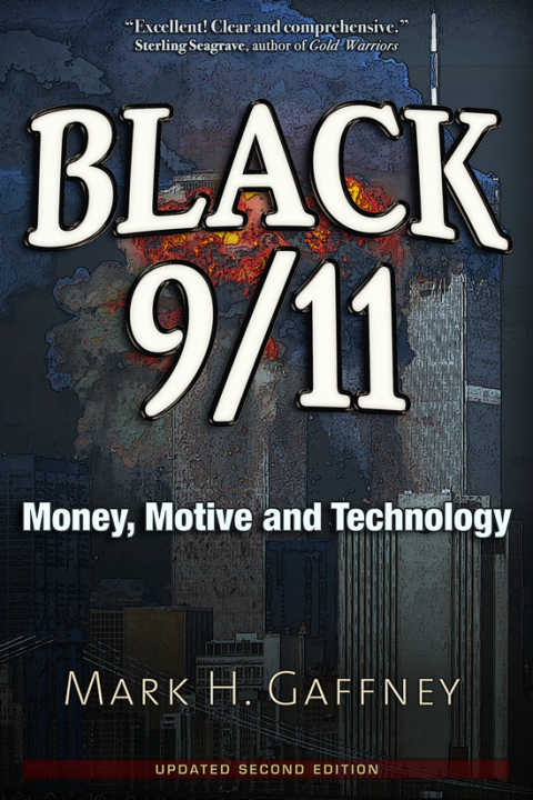 Cover image for book Black 9/11