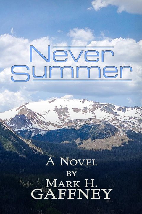 Cover image for book Never Summer: a novel