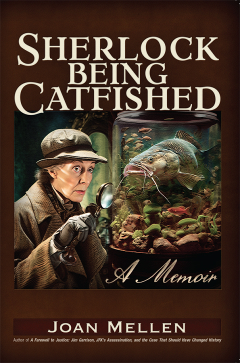 Cover image for book Sherlock Being Catfished