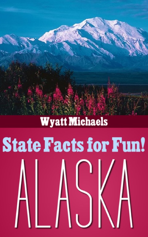 Cover image for book State Facts for Fun! Alaska