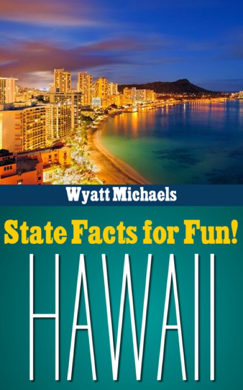 Cover image for book State Facts for Fun! Hawaii