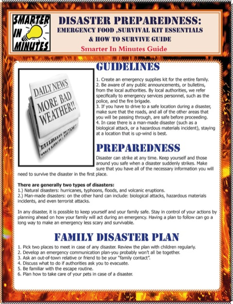 Cover image for book Disaster Preparedness