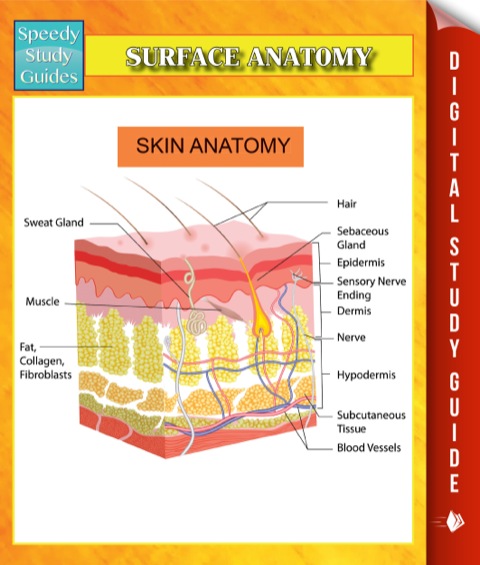 Cover image for book Trigger Points (Advanced) Speedy Study Guides