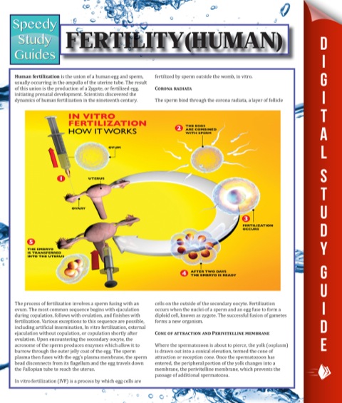 Cover image for book Fertility (Human)