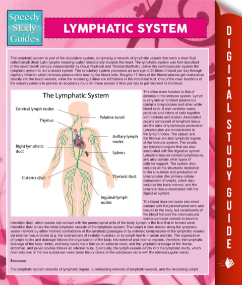 Cover image for book Lymphatic System
