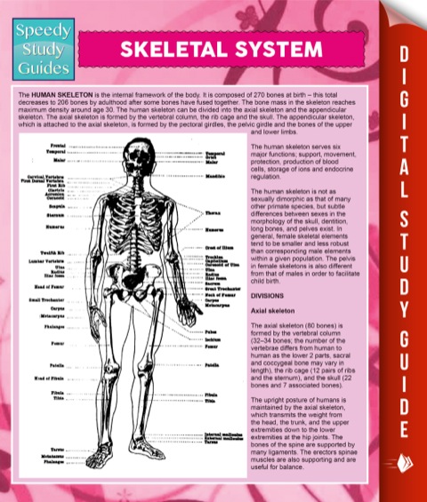 Cover image for book Skeletal System