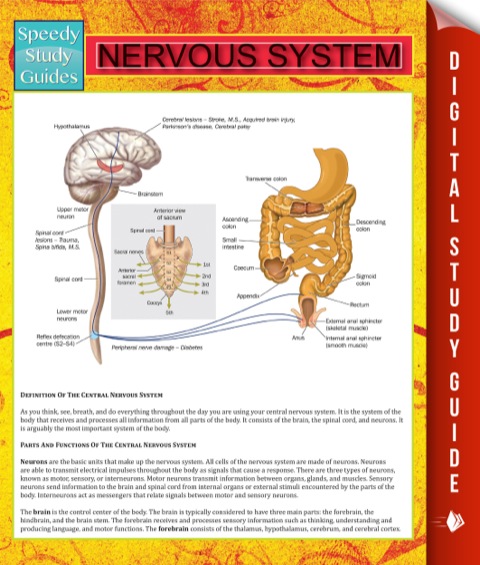 Cover image for book Nervous System