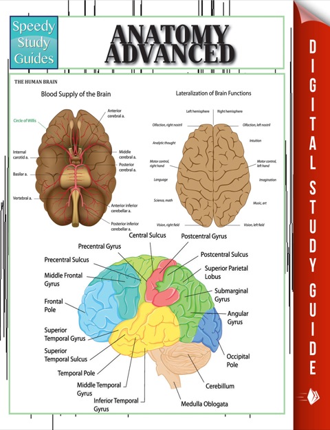 Cover image for book Anatomy Advanced