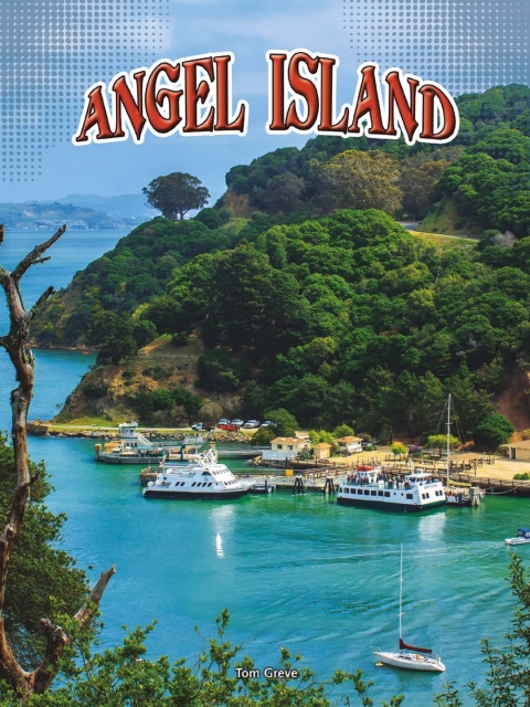 Cover image for book Angel Island