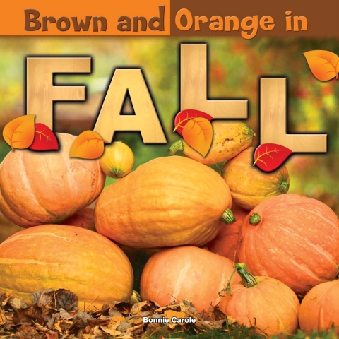 Cover image for book Brown and Orange in Fall