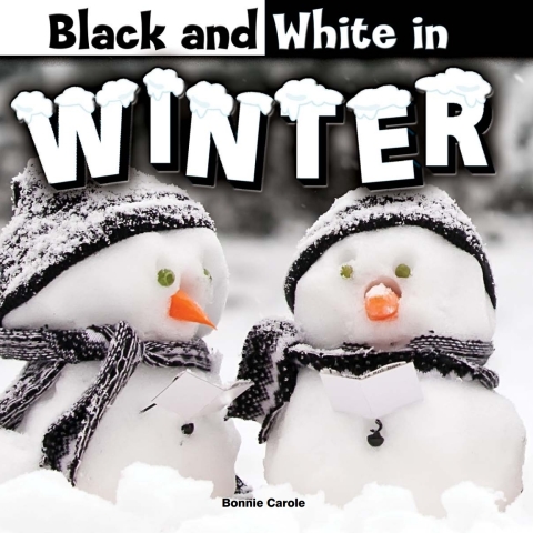 Cover image for book Black and White in Winter