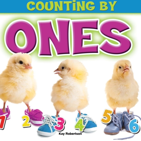 Cover image for book Counting by Ones
