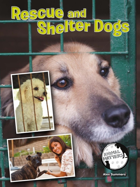 Cover image for book Rescue and Shelter Dogs