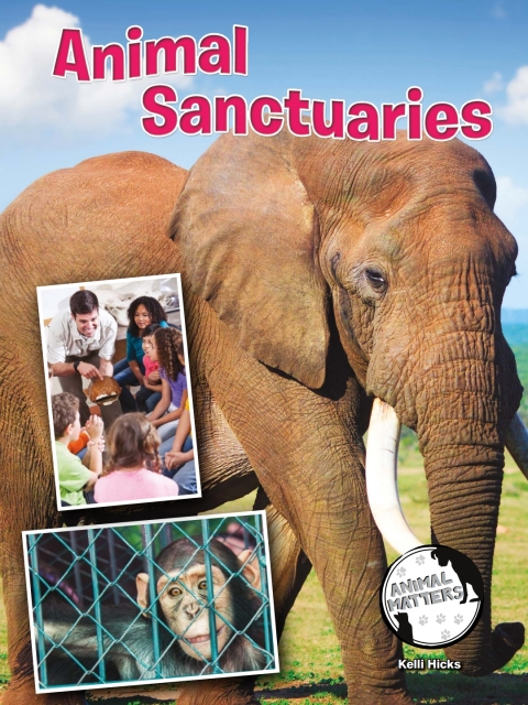 Cover image for book Animal Sanctuaries