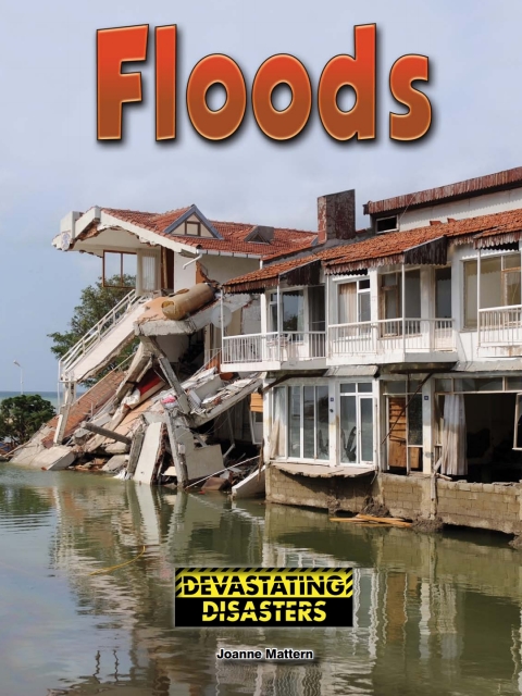 Cover image for book Floods