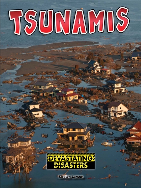 Cover image for book Tsunamis