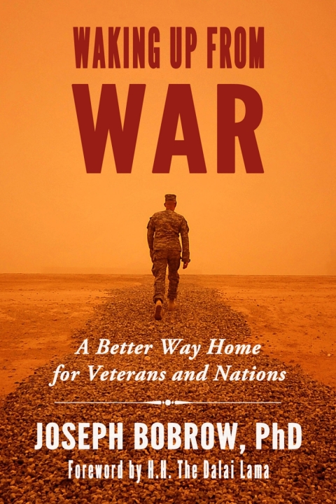 Cover image for book Waking Up from War
