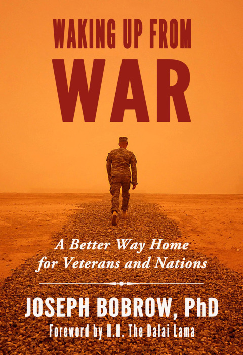 Cover image for book Waking Up from War