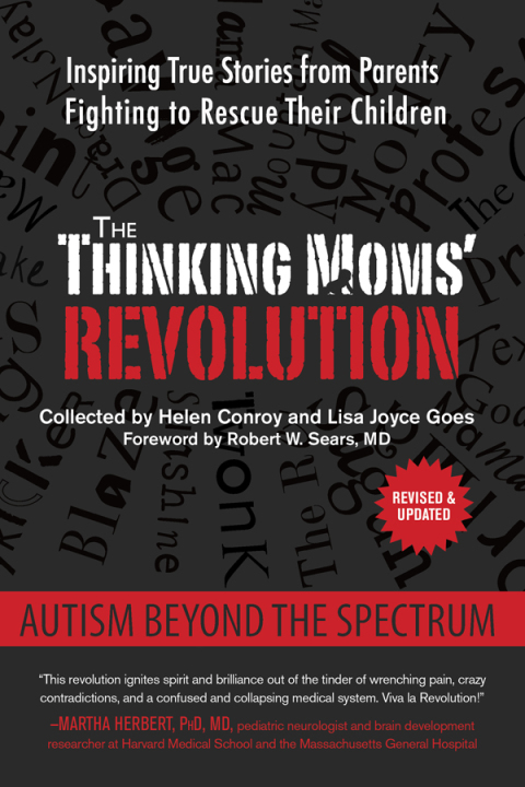 Cover image for book The Thinking Moms' Revolution