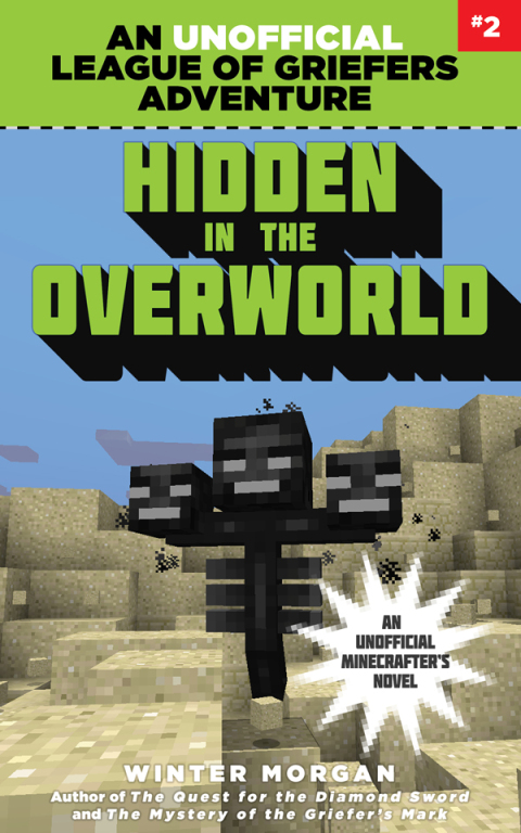 Cover image for book Hidden in the Overworld