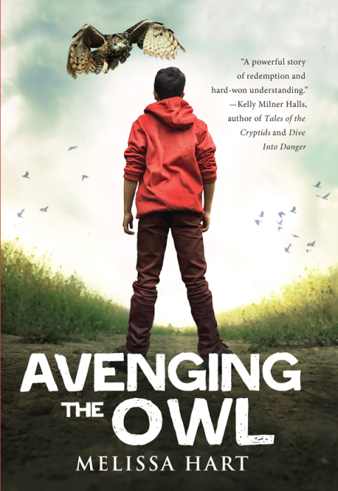 Cover image for book Avenging the Owl