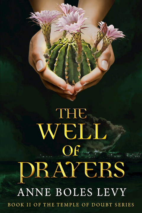 Cover image for book The Well of Prayers