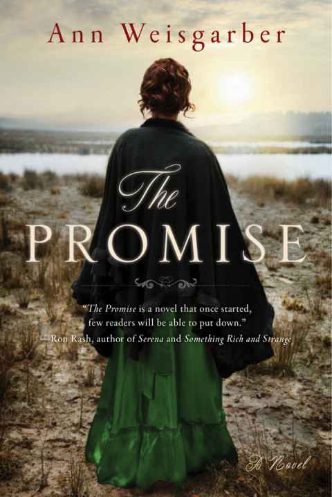 Cover image for book The Promise