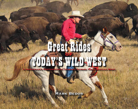 Cover image for book Great Rides of Today's Wild West