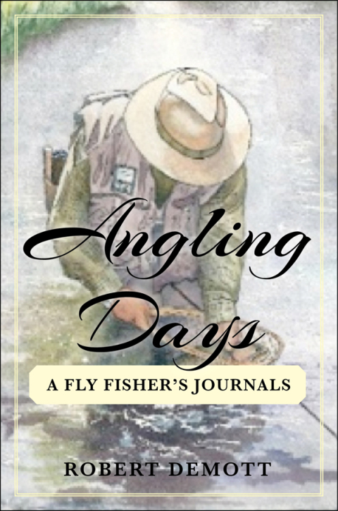 Cover image for book Angling Days