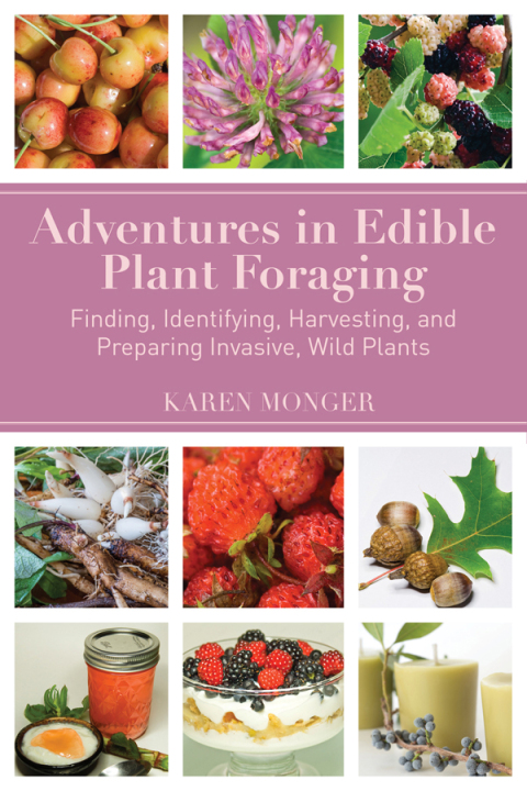 Cover image for book Adventures in Edible Plant Foraging