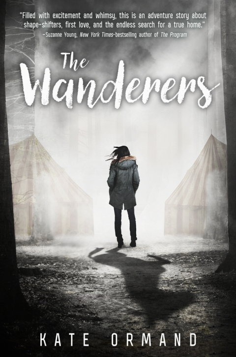 Cover image for book The Wanderers