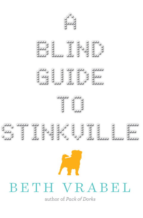 Cover image for book A Blind Guide to Stinkville