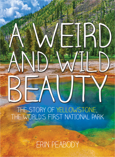 Cover image for book A Weird and Wild Beauty