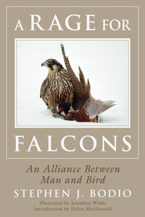 Cover image for book A Rage for Falcons