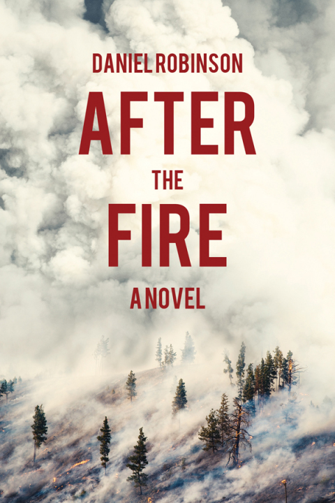 Cover image for book After the Fire