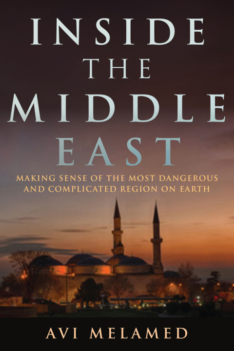 Cover image for book Inside the Middle East