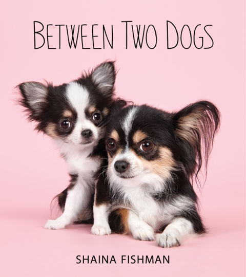 Cover image for book Between Two Dogs