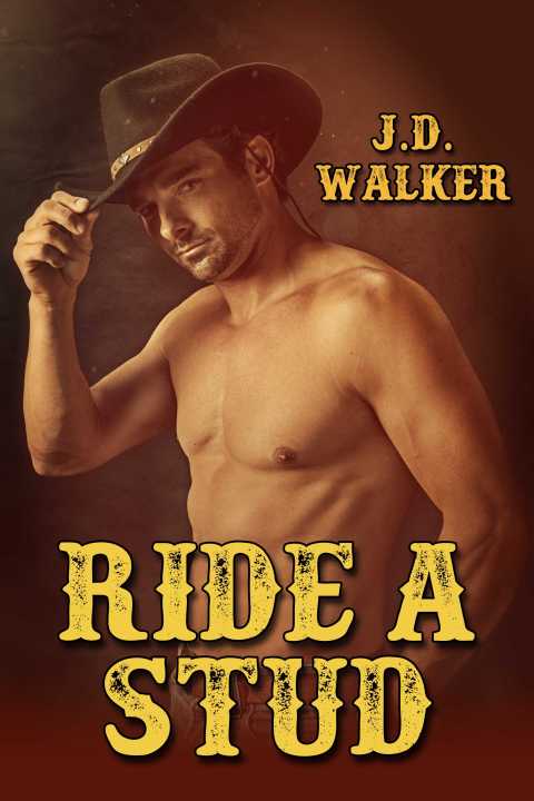 Cover image for book Ride a Stud