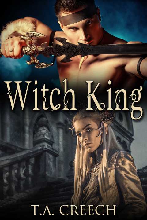 Cover image for book Witch King