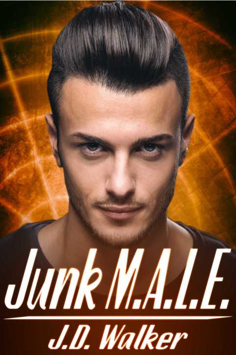 Cover image for book Junk M.A.L.E.