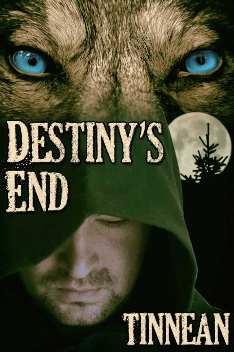 Cover image for book Destiny's End